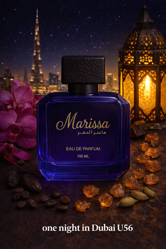 one night in Dubai U56