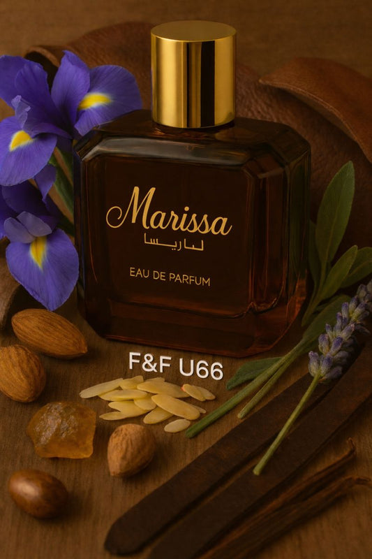 F&F – U66